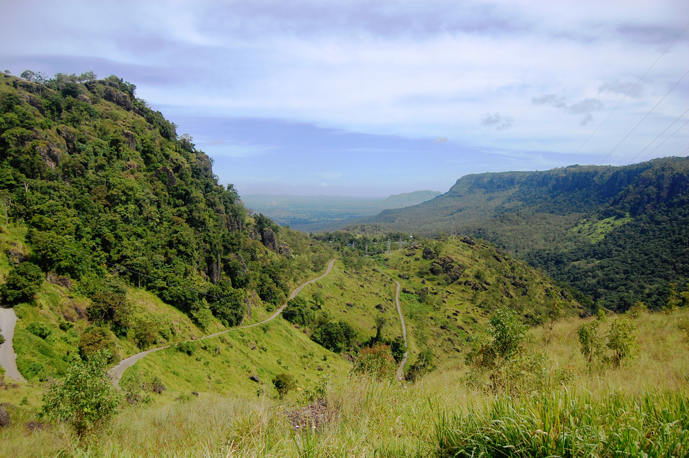 Papua New Guinea considered as Rugby League World Cup co-host