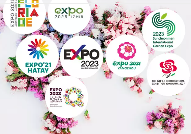 “Making the unimaginable happen” — organisers demonstrate resilience at the AIPH Virtual Expo Conference