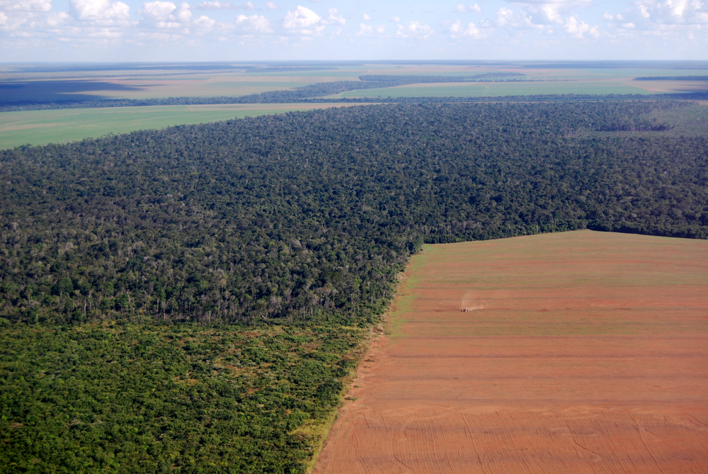 Brazil 2014 World Cup visitors to offset carbon